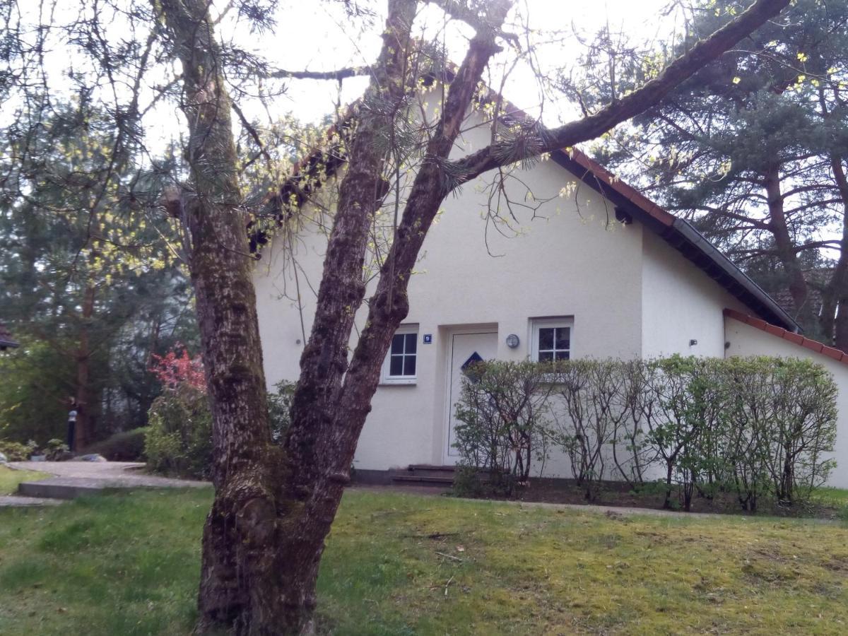 Lenzer Parkblick Am Plauer See Zewnętrze zdjęcie