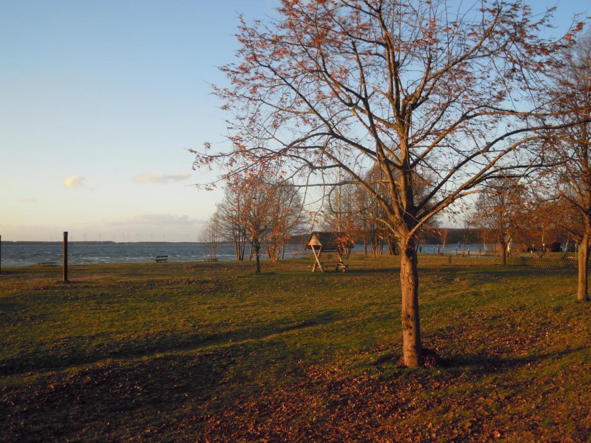 Lenzer Parkblick Am Plauer See Zewnętrze zdjęcie